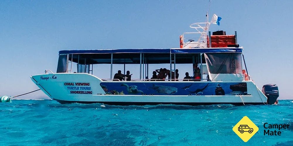 Turtle Ecotour Glass Bottom Boat