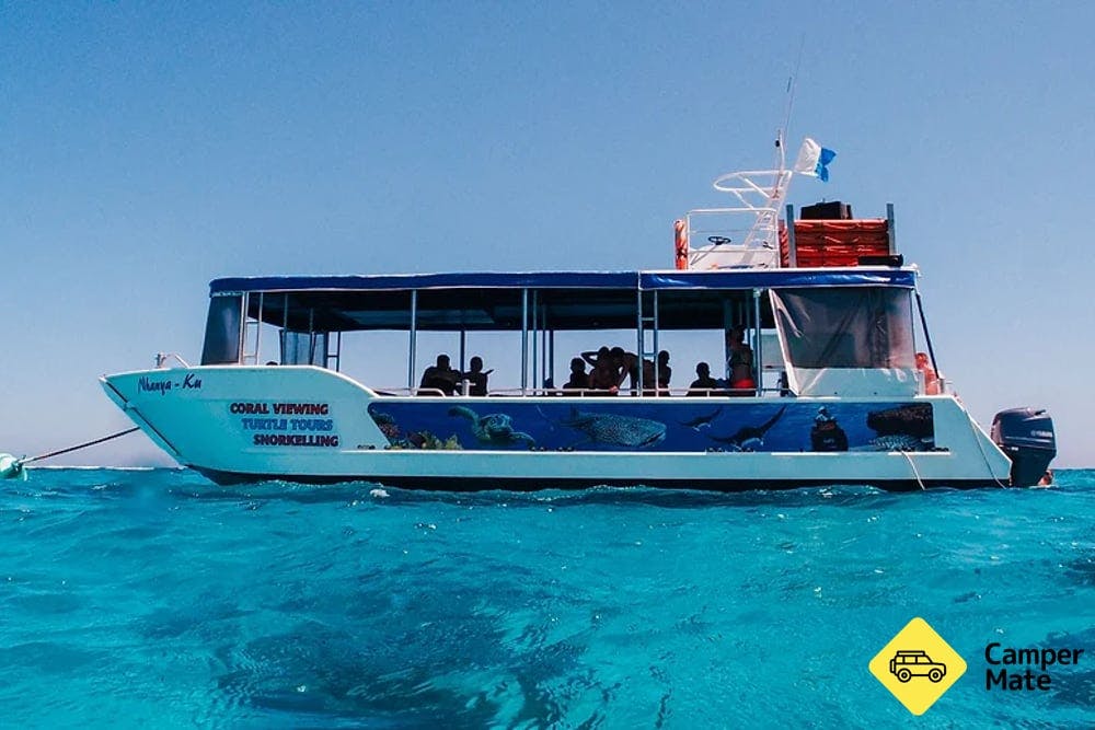 Turtle Ecotour Glass Bottom Boat