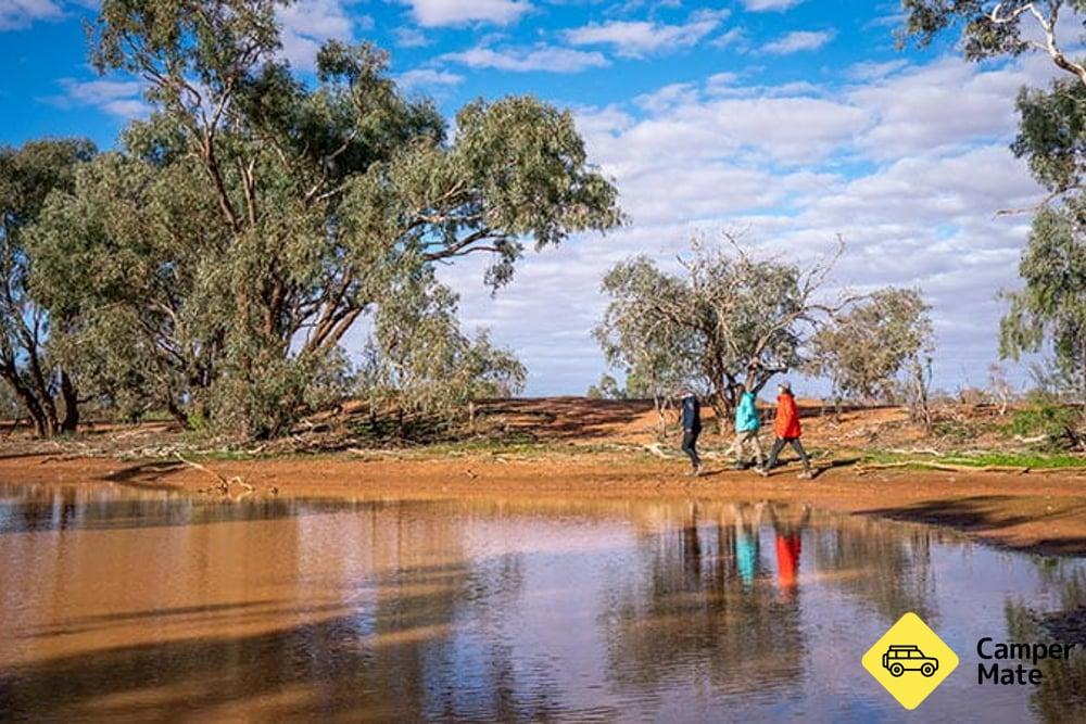 Mount Wood Campground, Sturt National Park - 2