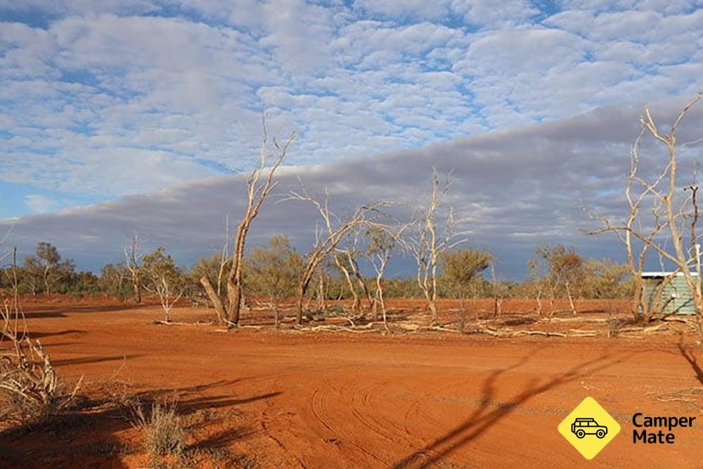 Mount Wood Campground, Sturt National Park - 5