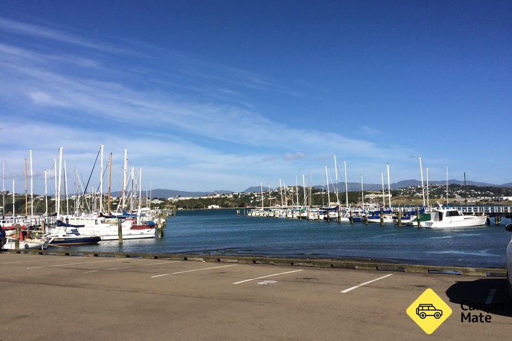 Evans Bay Marina Carpark - 2