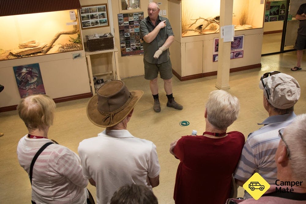 Alice Springs Reptile Centre - 1