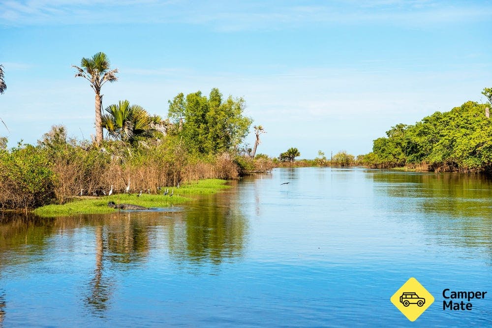 Gayngaru Wetlands Interpretive Walk - 0