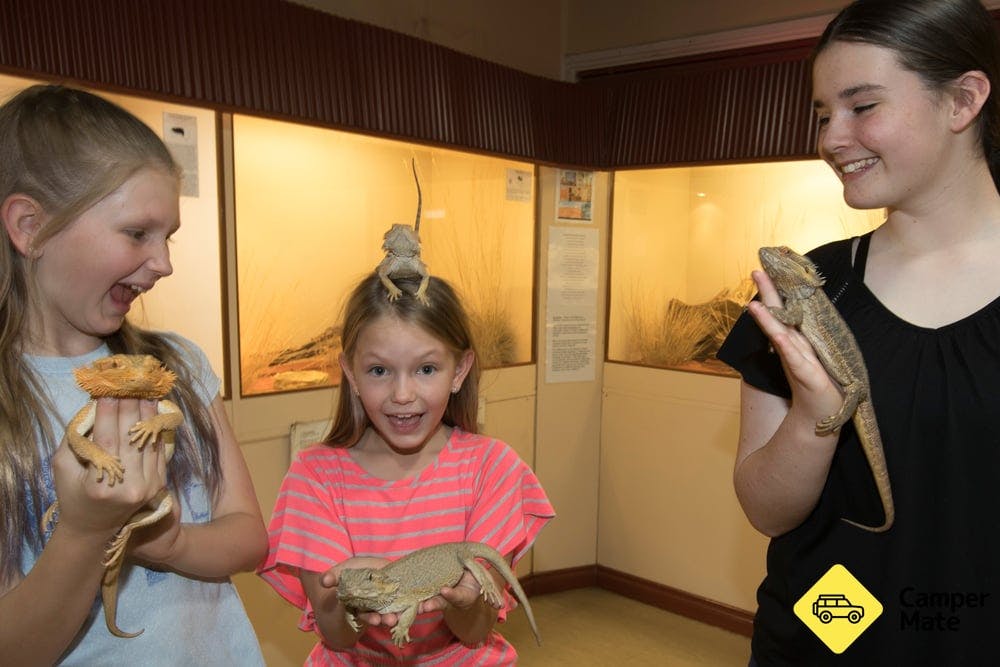 Alice Springs Reptile Centre - 0