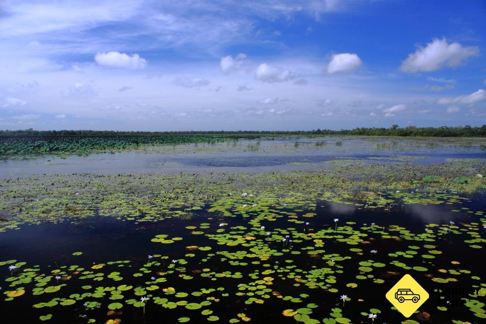 Mamukala Wetlands Boardwalk