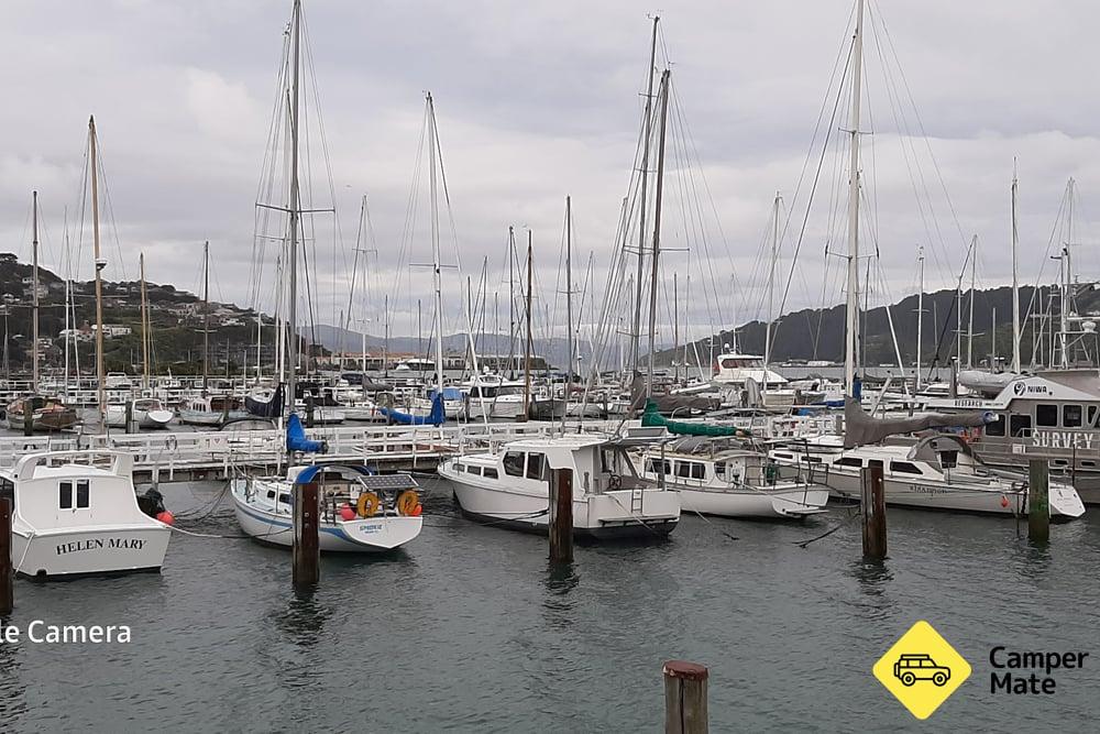 Evans Bay Marina Carpark - 4