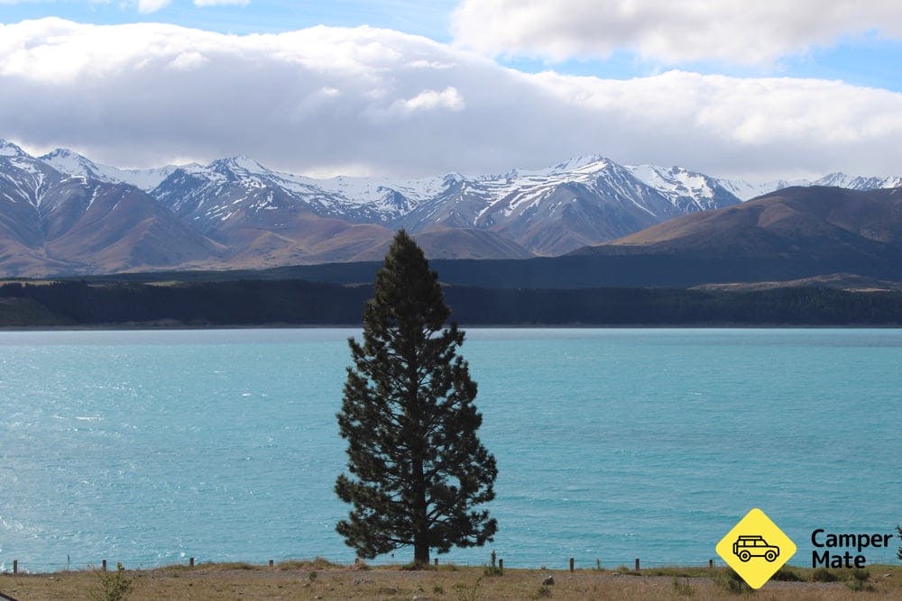 Lake Pukaki Reserve - The Pines - 8