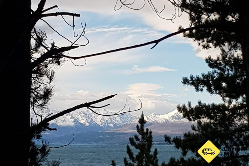 Lake Pukaki Reserve - The Pines - 22