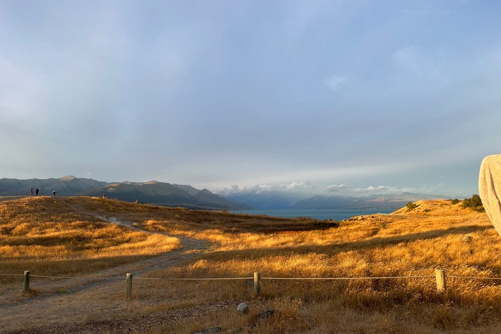 Lake Pukaki Reserve - The Pines - 31