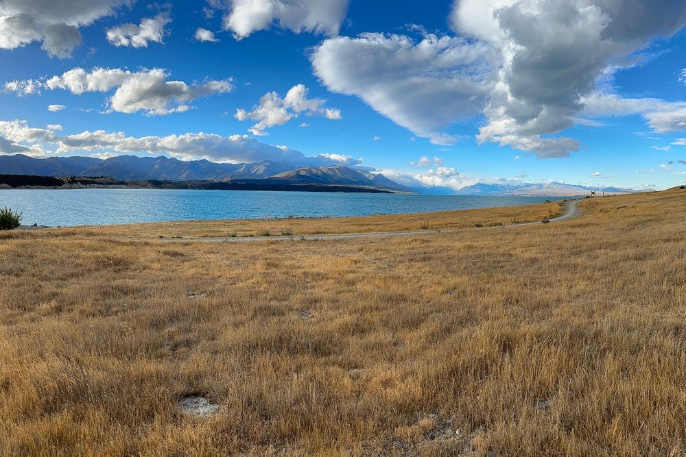 Lake Pukaki Reserve - The Pines - 29