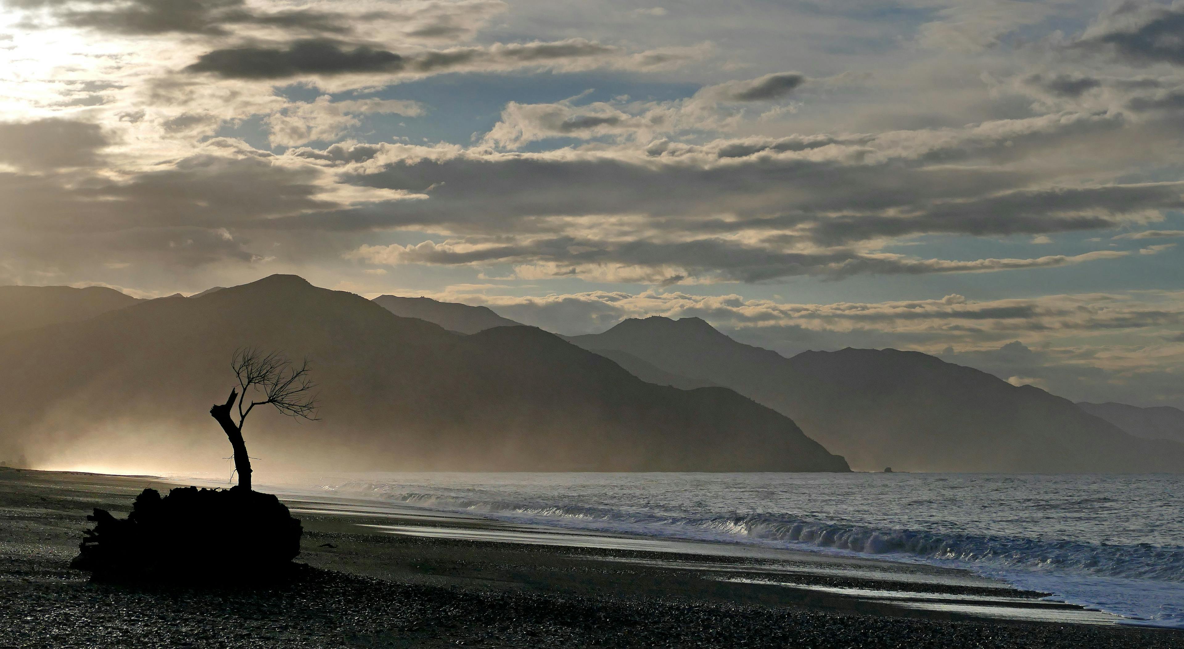Everything You Need to Know About Kaikoura