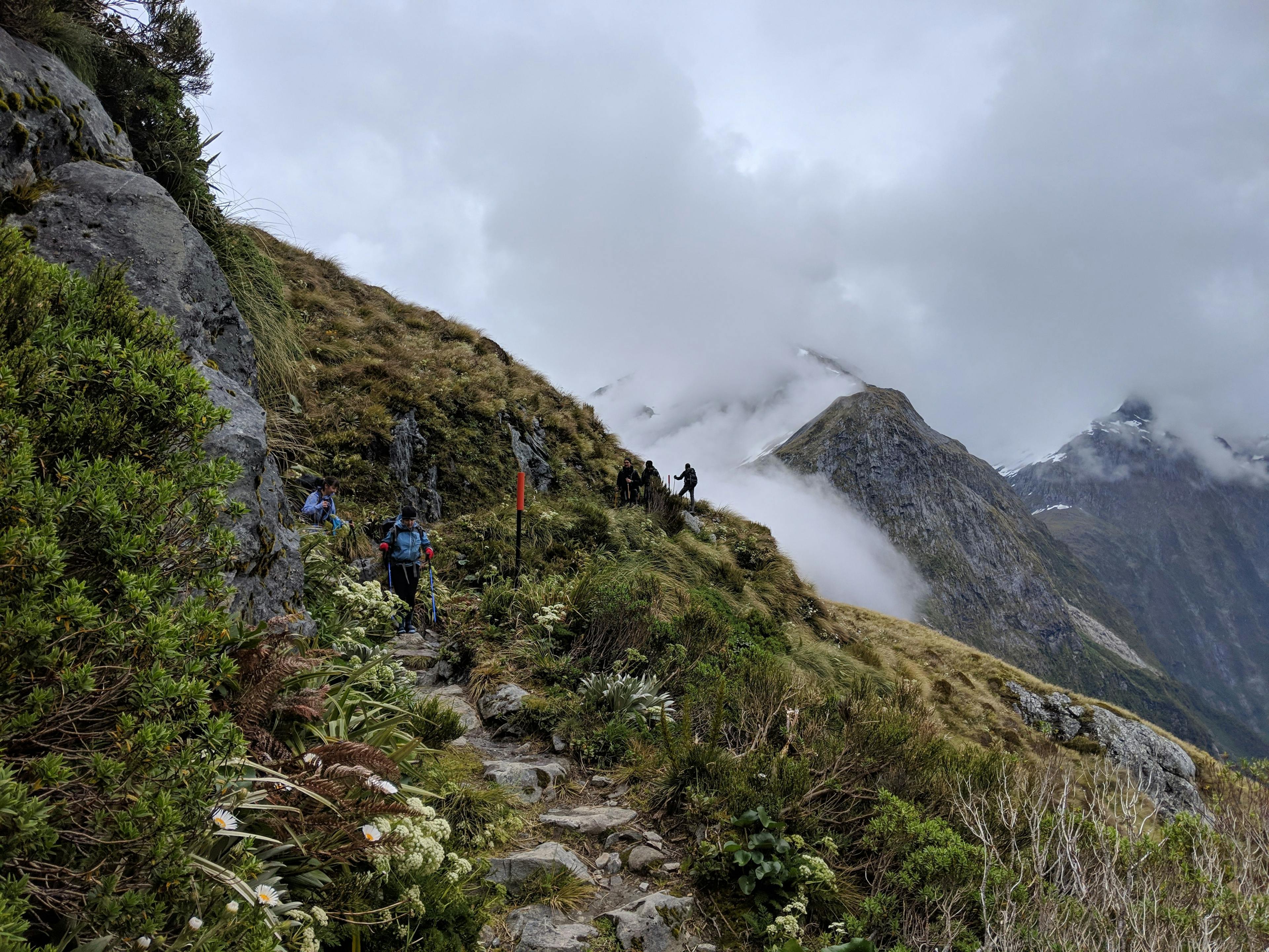 Ultimate Guide to New Zealand’s Great Walks
