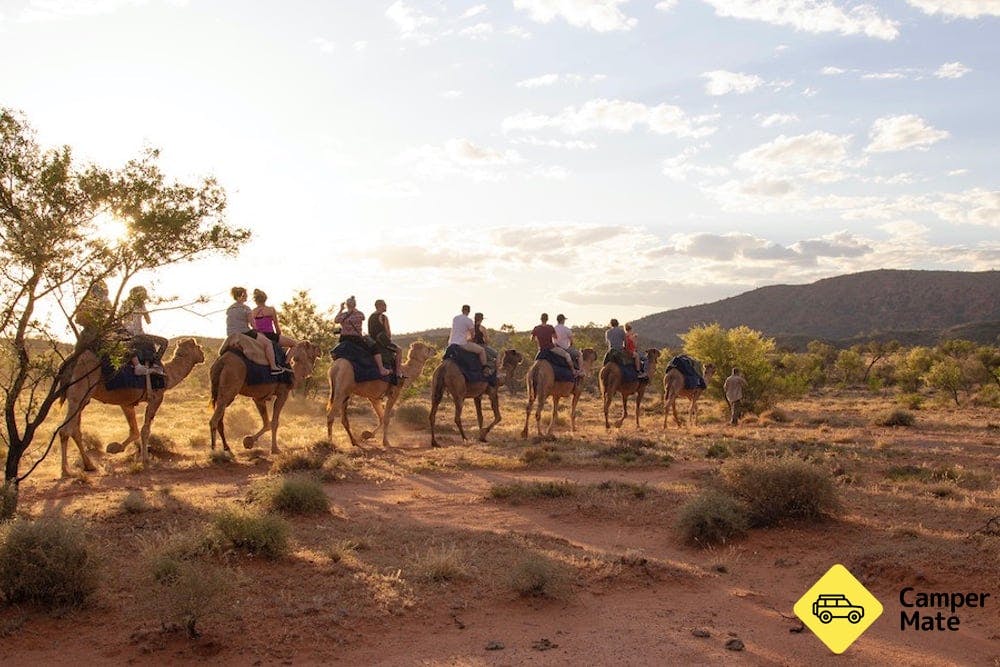 Pyndan Camel Tracks Alice Springs