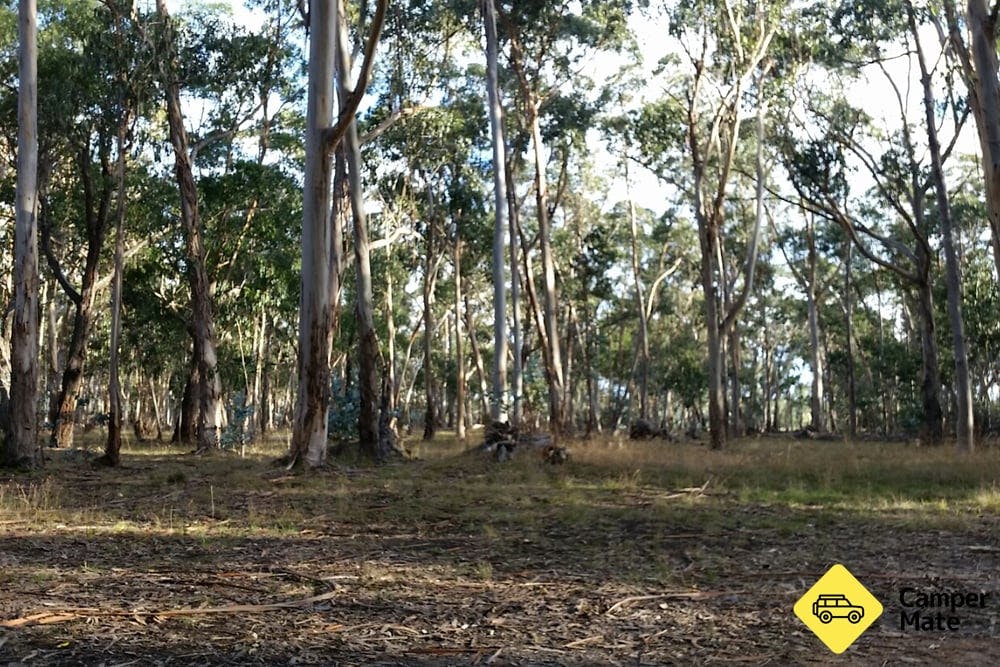 Chookarloo Campground, Kuitpo Forest Reserve