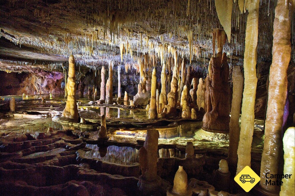 Buchan Caves Reserve - 1