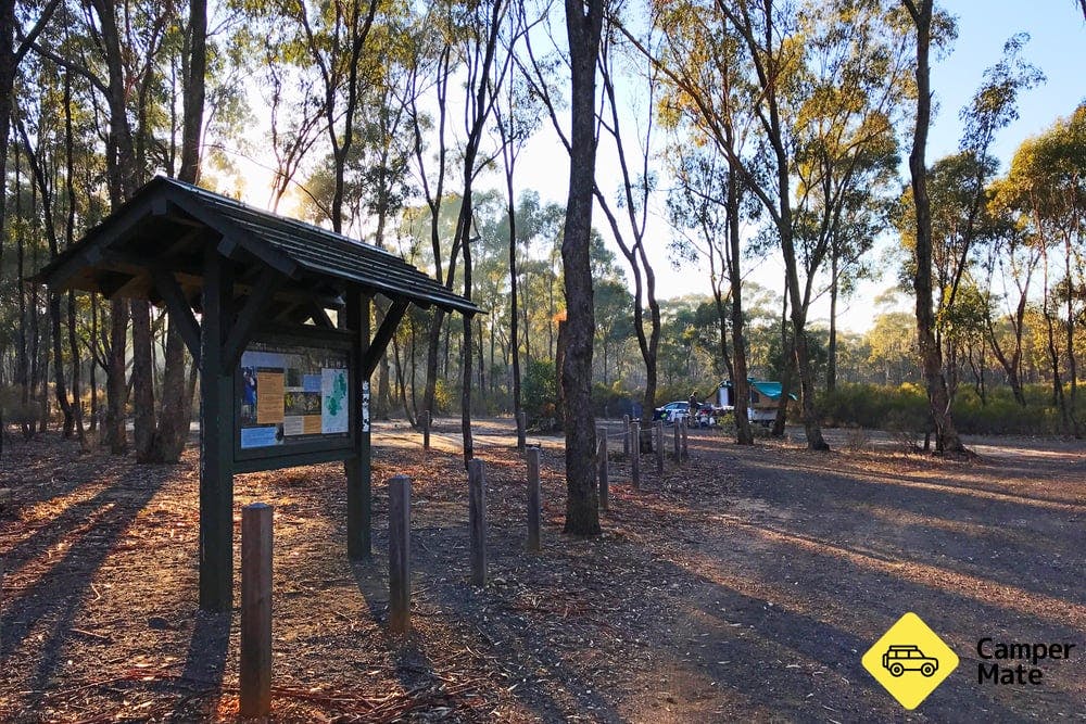 Karri Track Camping Area - Paddys Ranges State Park