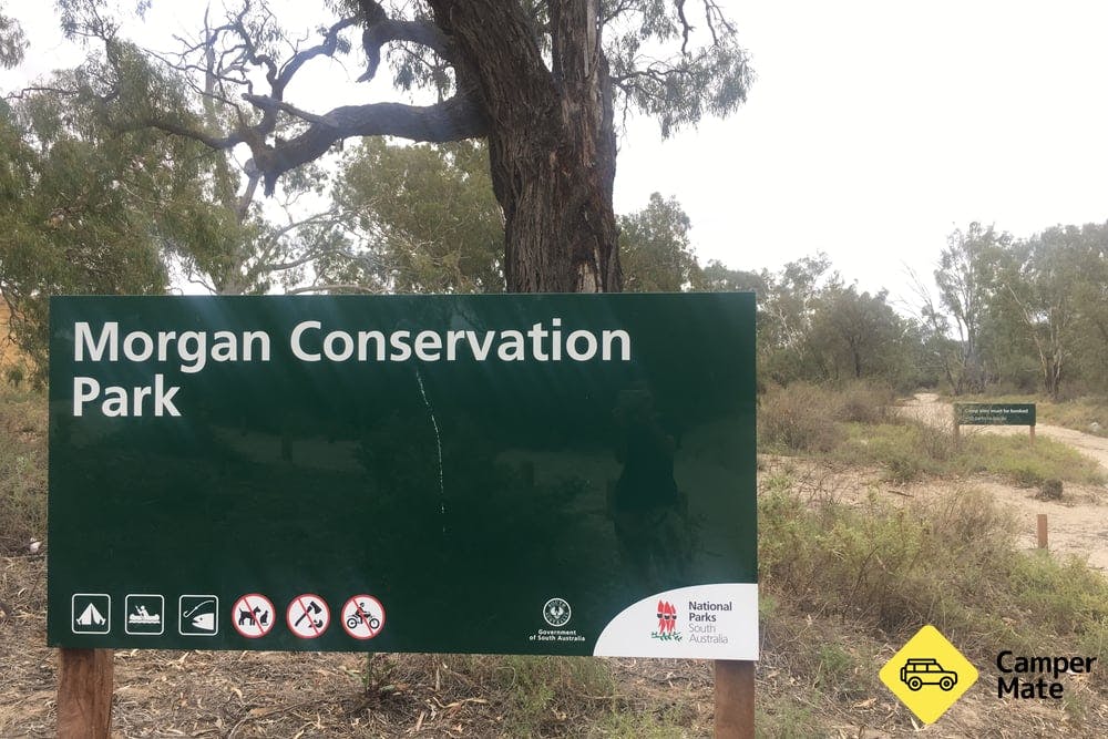Morgan Conservation Park, Northern Section - 6