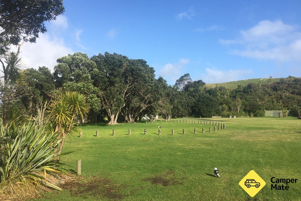 Te Haruhi Bay Campground *REDUCED CAPACITY* - 2