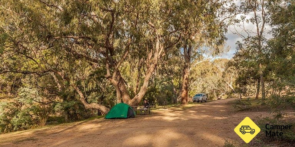 Jacobs River - Tongaroo Campground