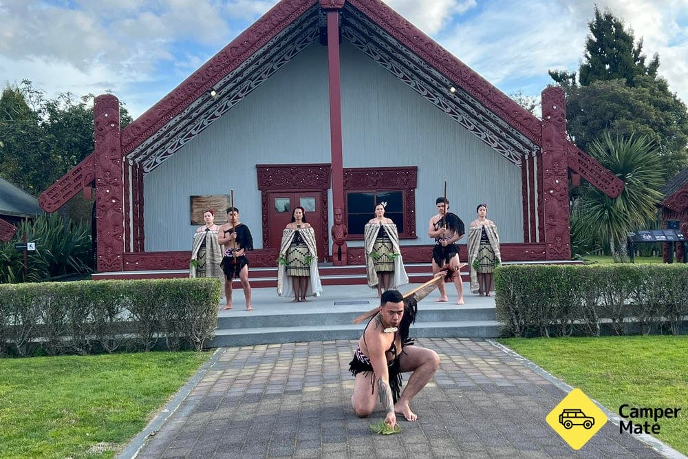 Te Puia Geothermal and Maori Culture Experience - 8