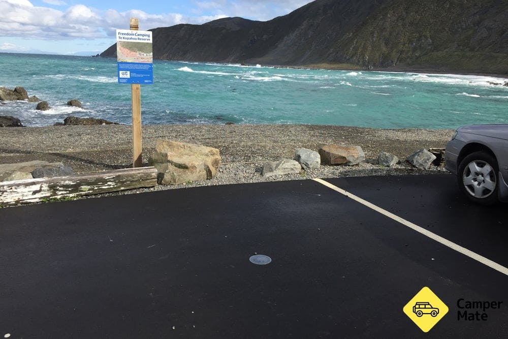 Te Kopahou Visitors Centre carpark (not suitable for vehicles over 6m) - 17
