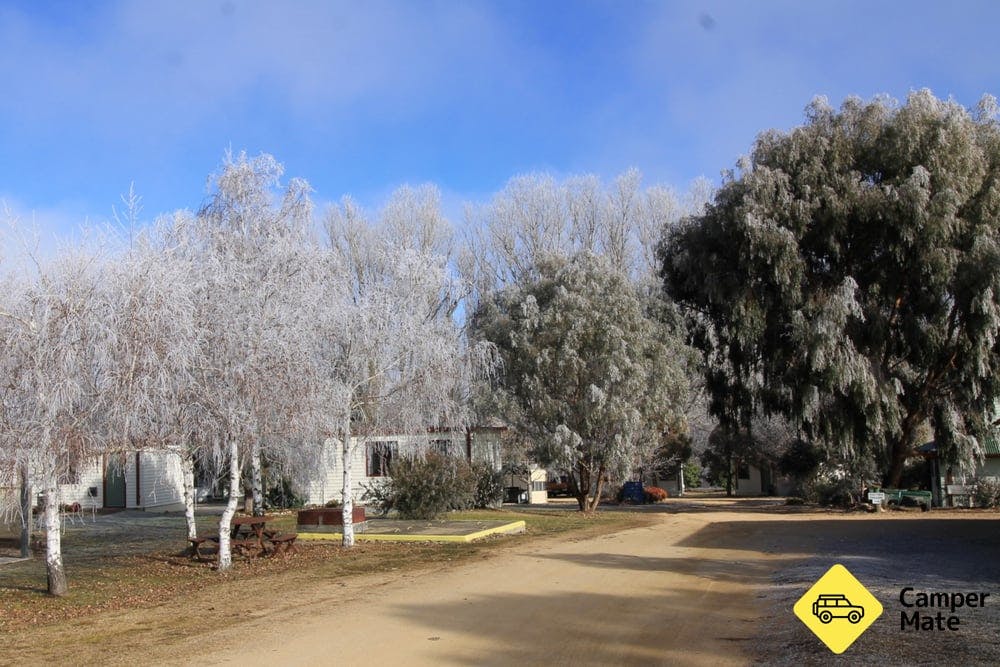 Snowy River Holiday Park - 6