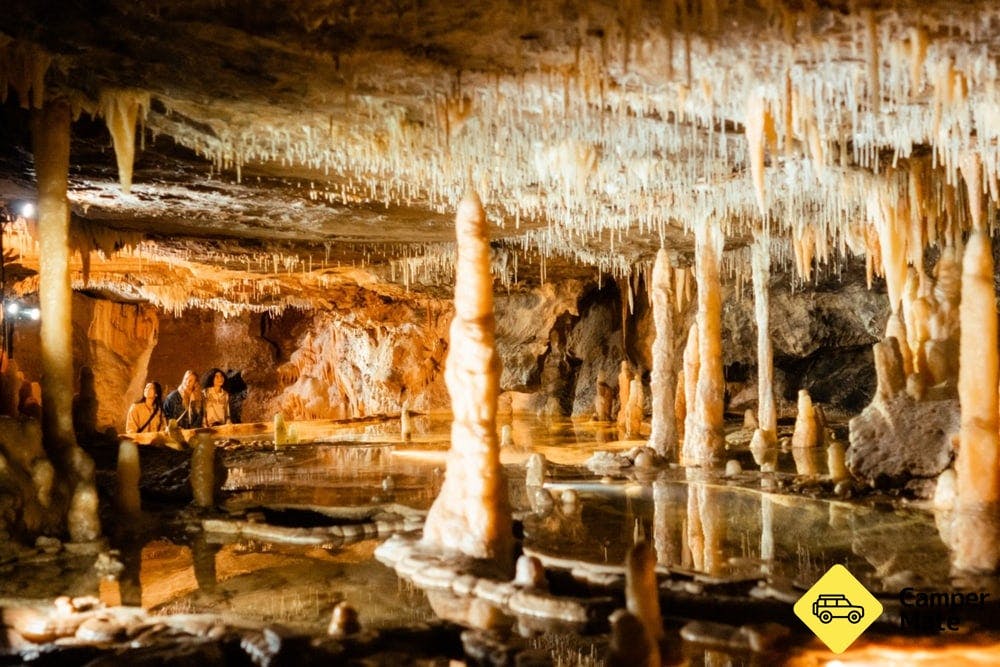 Buchan Caves Reserve - 3