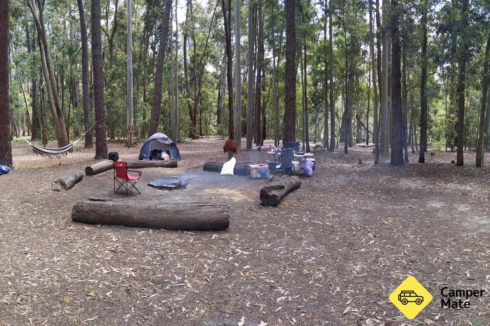 Chookarloo Campground, Kuitpo Forest Reserve - 1