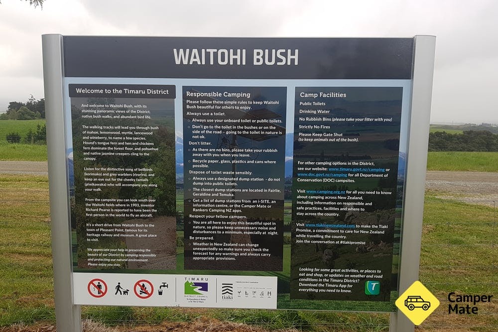 Waitohi Bush Reserve - 1