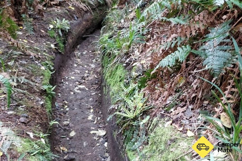 Mount Tauhara Track - 0