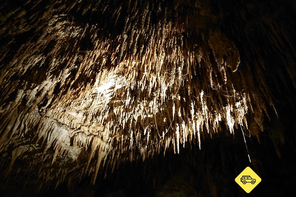 Ngilgi Cave Ancient Lands Adventure Tour