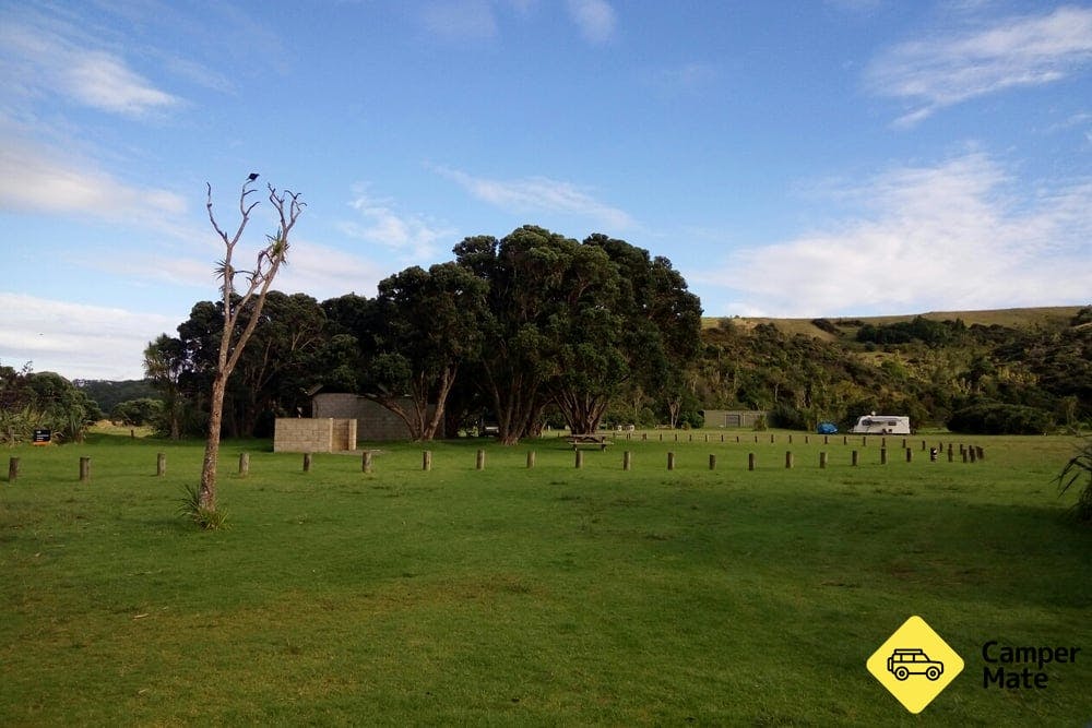 Te Haruhi Bay Campground *REDUCED CAPACITY*