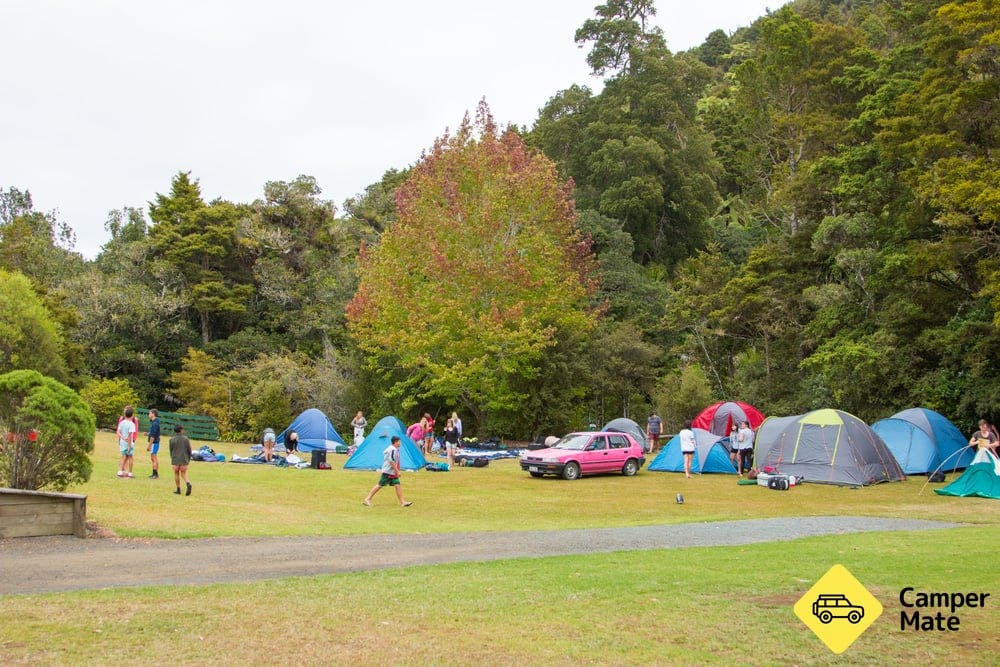 Kauri Coast TOP 10 Holiday Park - 0