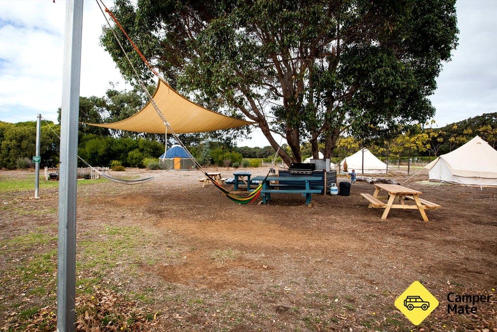 Boogaloo Surf and Yoga Campsite
