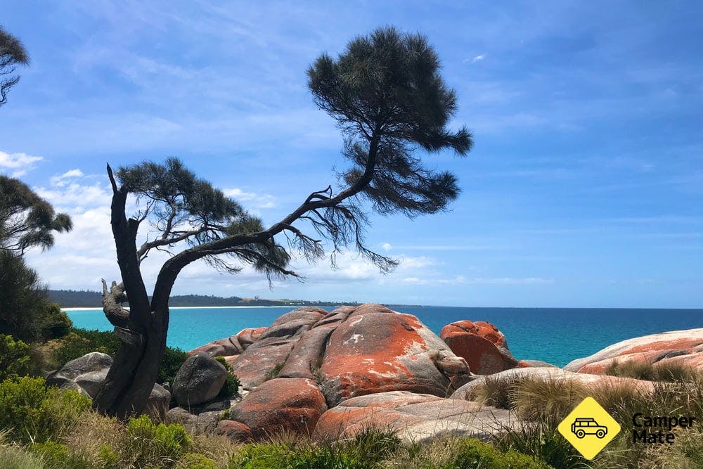 Sloop Reef - Bay of Fires Conservation Area - 0