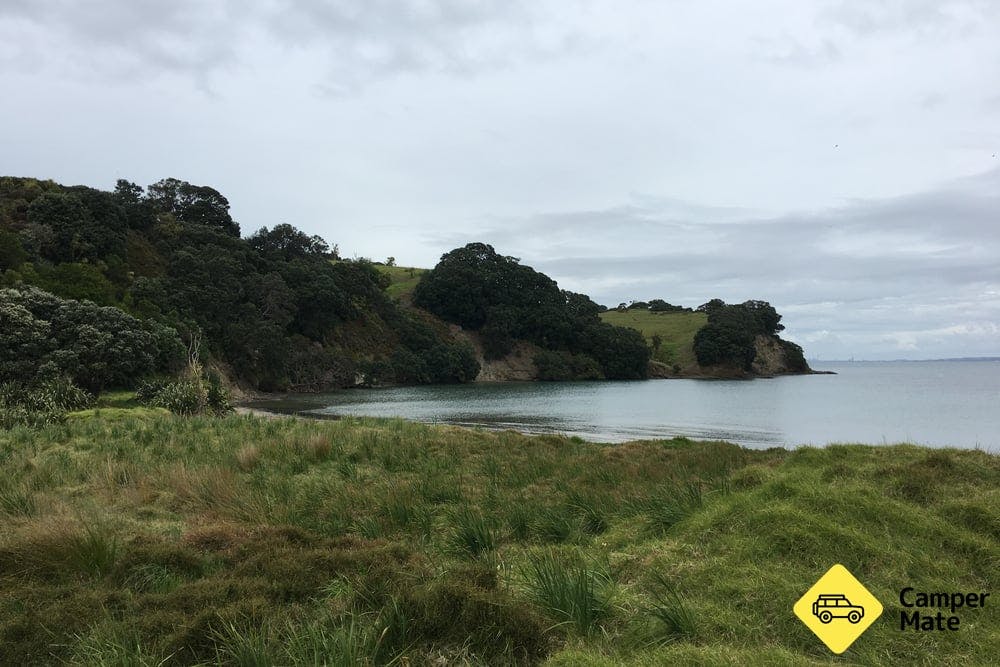 Te Haruhi Bay Campground *REDUCED CAPACITY* - 3