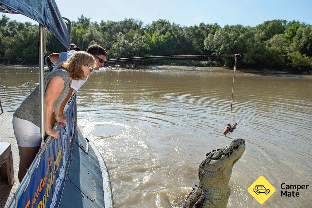 Spectacular Jumping Crocodile Cruise - 0