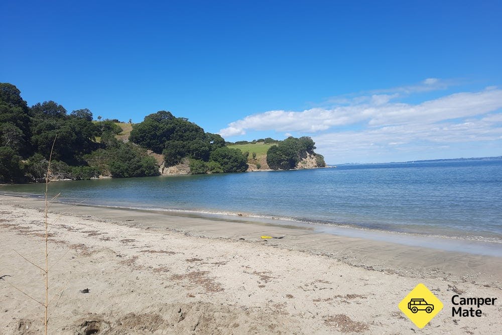 Te Haruhi Bay Campground *REDUCED CAPACITY* - 5