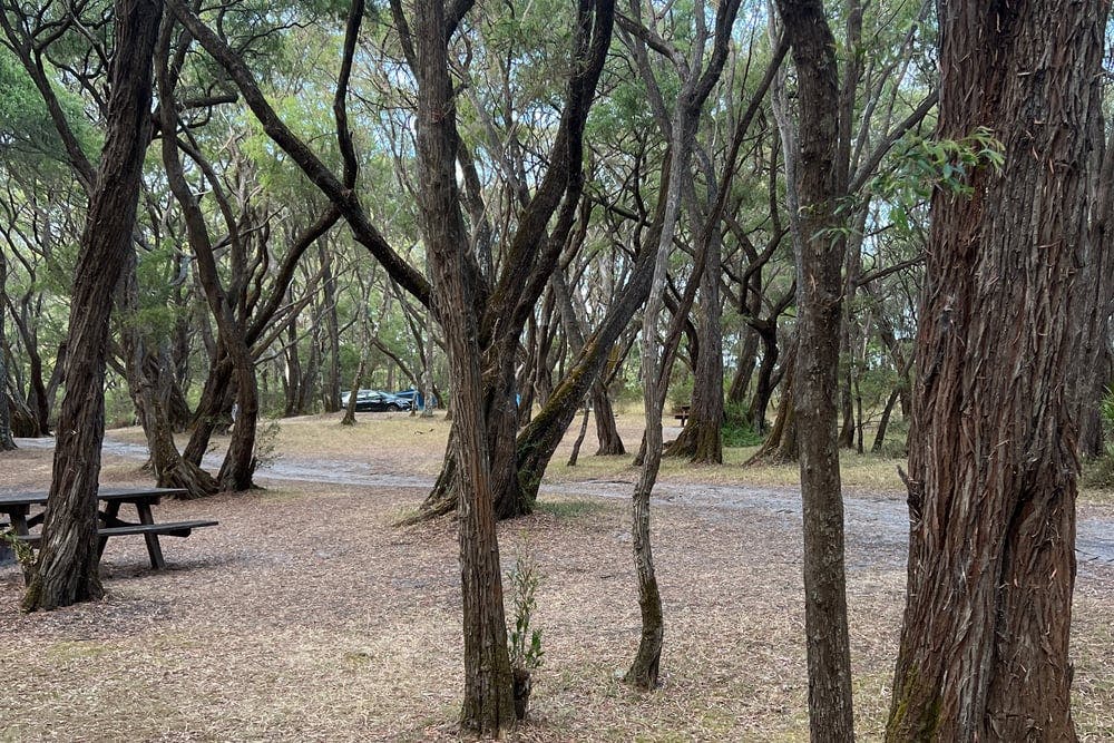 Crystal Springs Campground, D'Entrecasteaux National Park