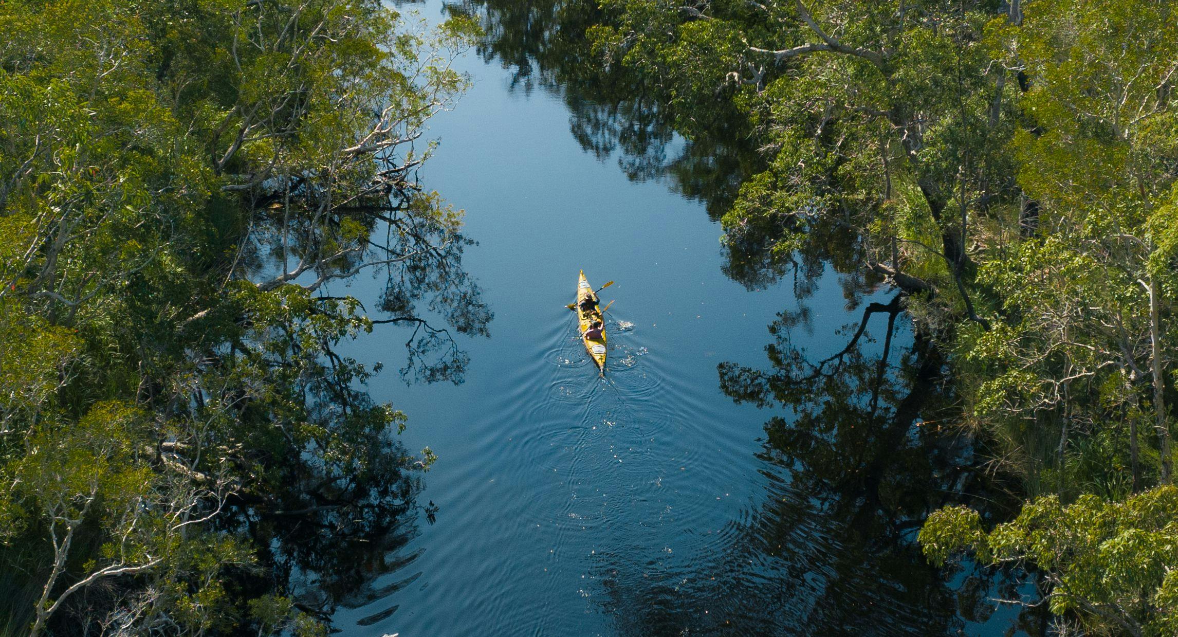 Noosa Everglades - Pristine Water & Walking Adventures 